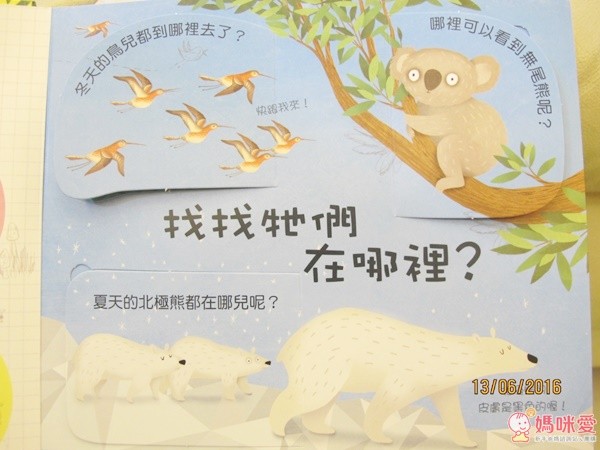 人氣動物驚奇秘密 Q&A