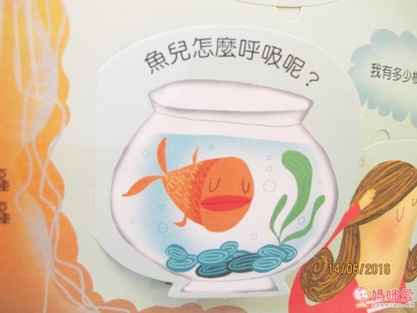 不可思議地球常識Q&A