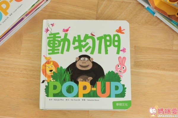 華碩文化立體書