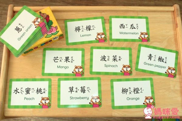 ✿new！人類智庫：歡樂學習卡（適合2~6歲）