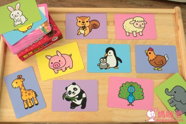 ✿new！人類智庫：歡樂學習卡（適合2~6歲）