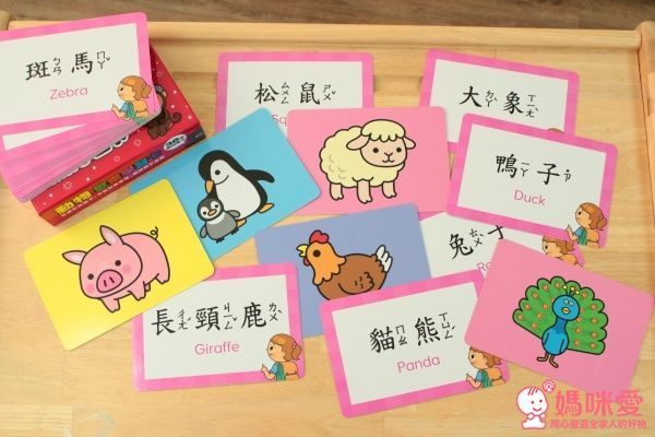 ✿new!人類智庫:歡樂學習卡(適合2~6歲)