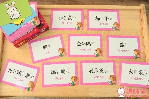 ✿new！人類智庫：歡樂學習卡（適合2~6歲）