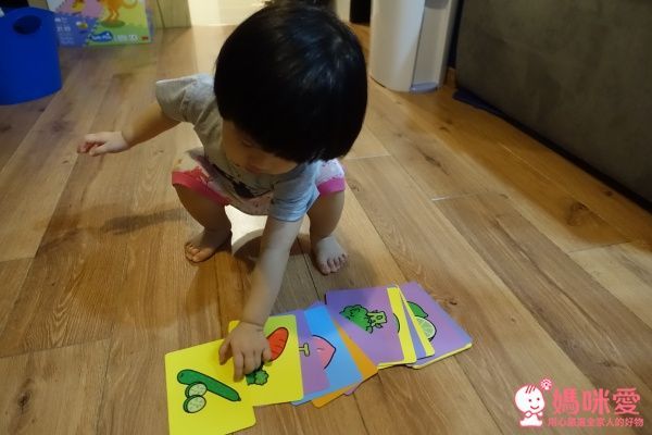 ✿new!人類智庫:歡樂學習卡(適合2~6歲)