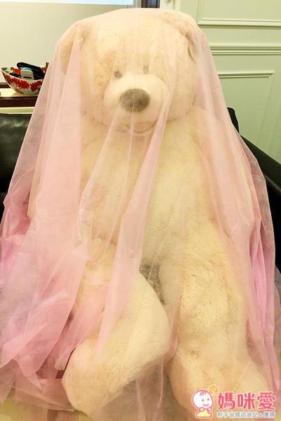 【All.Belle® 愛比堤】除蟎防蚊絲布