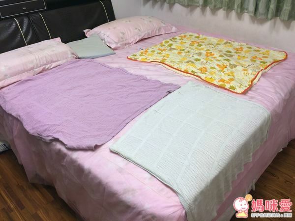 【All.Belle® 愛比堤】除蟎防蚊絲布