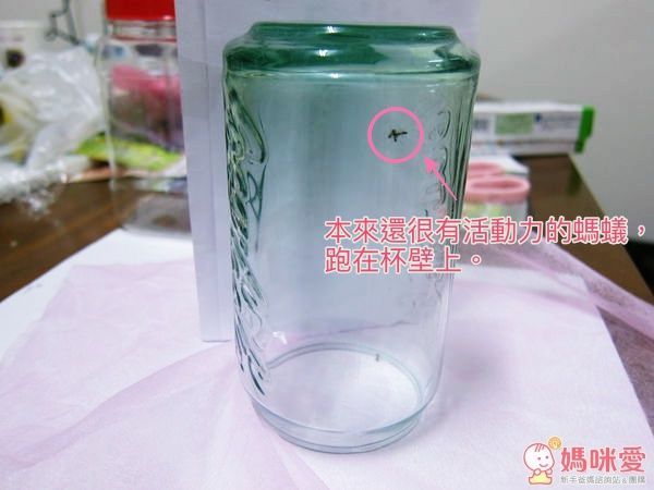 【All.Belle® 愛比堤】除蟎防蚊絲布