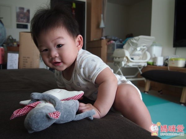 Käthe Kruse 最新款猴子系列