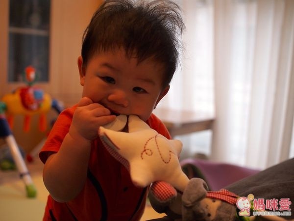 Käthe Kruse 最新款猴子系列