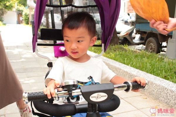 BabyBabe 兒童三輪車 免運全台最低價