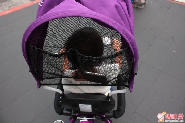 BabyBabe 兒童三輪車 免運全台最低價