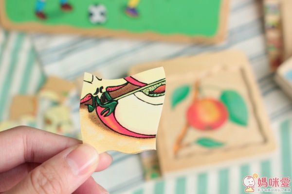 Beleduc 多層木拼圖：蘋果　