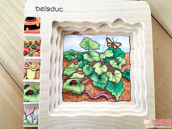 Beleduc 多層木拼圖：南瓜