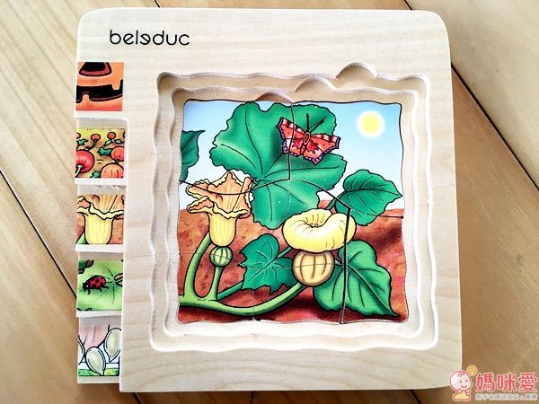 Beleduc 多層木拼圖：南瓜