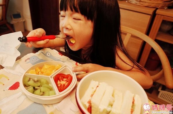 日本 DELICATUS 日本製碗型保冷多層便當盒