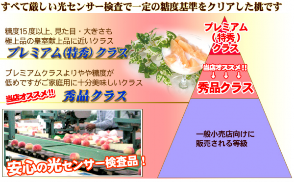 ㊣日本最高等級特秀水蜜桃㊣山梨縣/長野縣空運直送♥