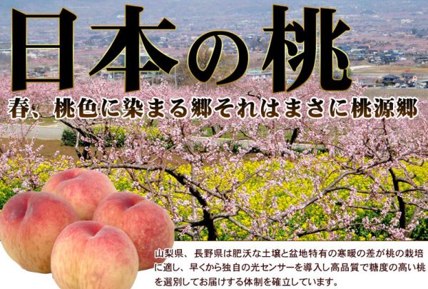 ㊣日本最高等級特秀水蜜桃㊣山梨縣/長野縣空運直送♥