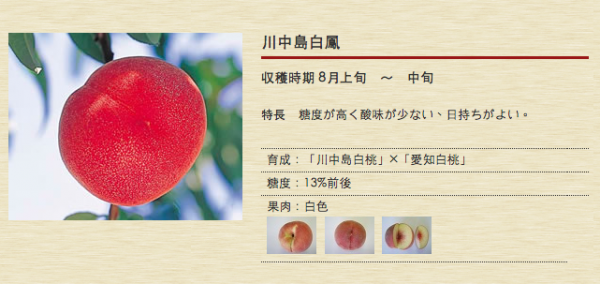 ㊣日本最高等級特秀水蜜桃㊣山梨縣/長野縣空運直送♥