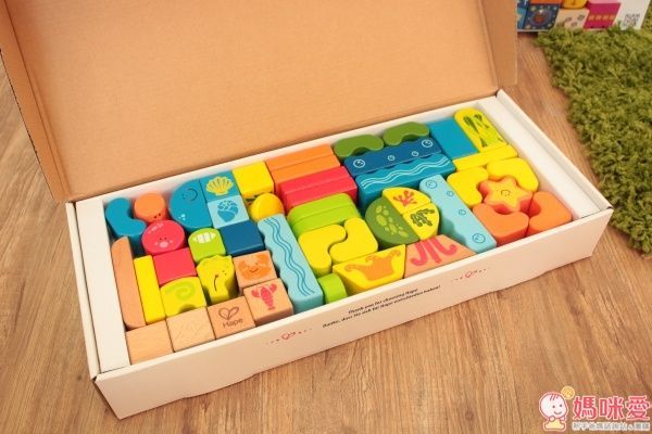 Hape 海洋動物積木