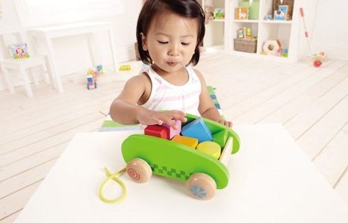 Hape 迷你積木拉車