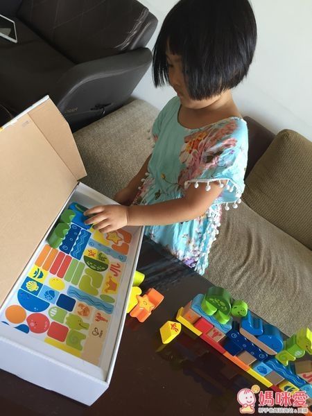 Hape 海洋動物積木