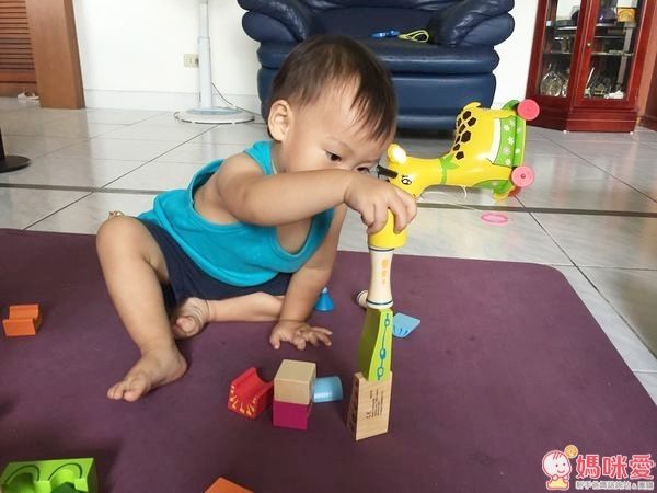 Hape 夢幻城堡積木