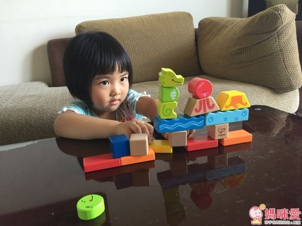 Hape 海洋動物積木