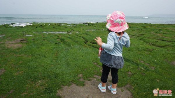 ✧野柳泊逸渡假酒店✧一生必去一次的高CP值假期