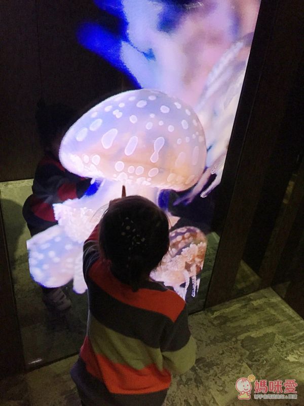 ✧野柳泊逸渡假酒店✧一生必去一次的高CP值假期