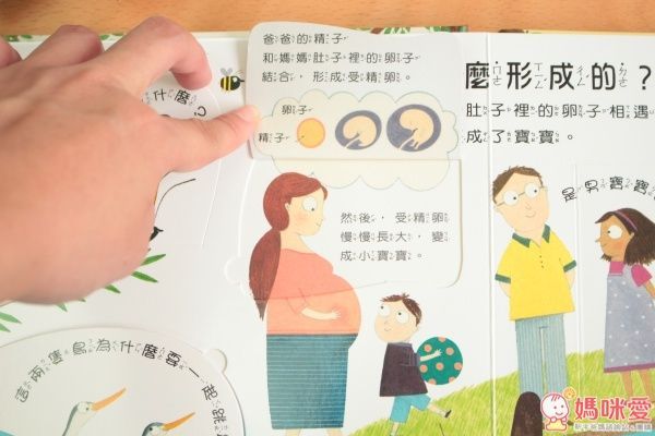 小天下 翻一翻,懂更多系列套書