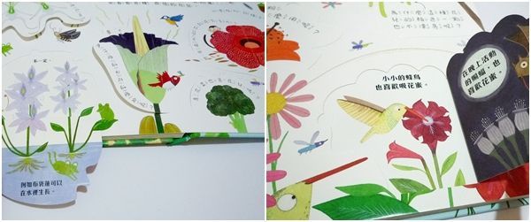 小天下 翻一翻,懂更多系列套書