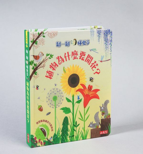 小天下 翻一翻,懂更多系列套書