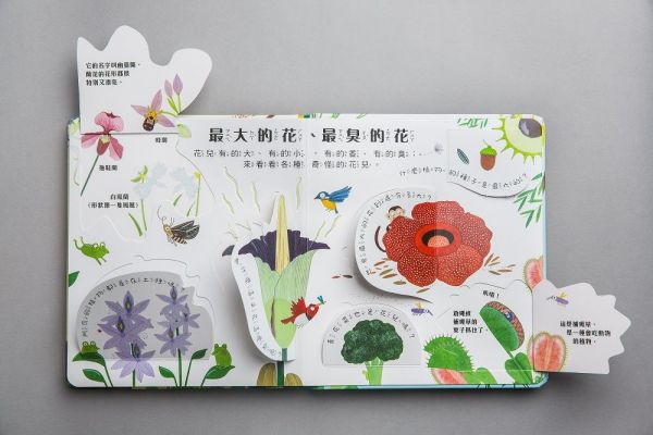 小天下 翻一翻,懂更多系列套書