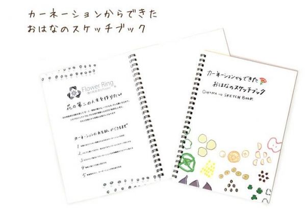 日本製 mizuiro 蔬菜蠟筆禮盒組 