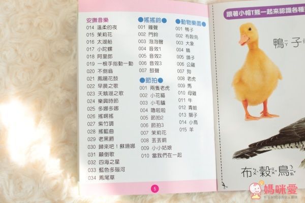 小帽T熊安撫音樂搖鈴