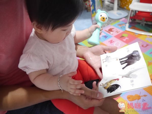 小帽T熊安撫音樂搖鈴