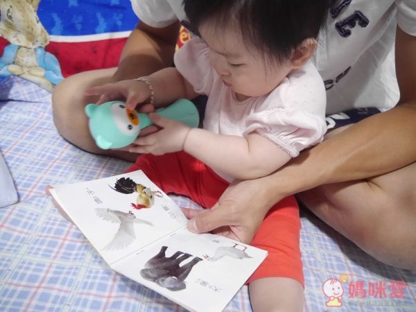 小帽T熊安撫音樂搖鈴