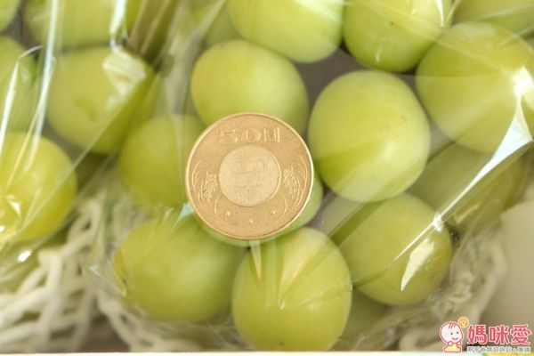 日本山梨縣晴王麝香葡萄