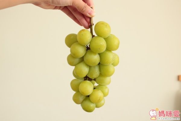 日本山梨縣晴王麝香葡萄