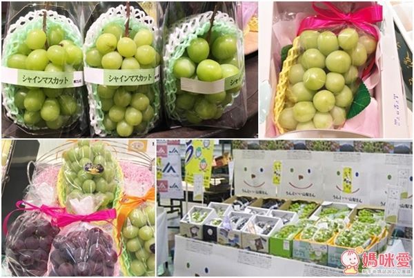 日本山梨縣晴王麝香葡萄