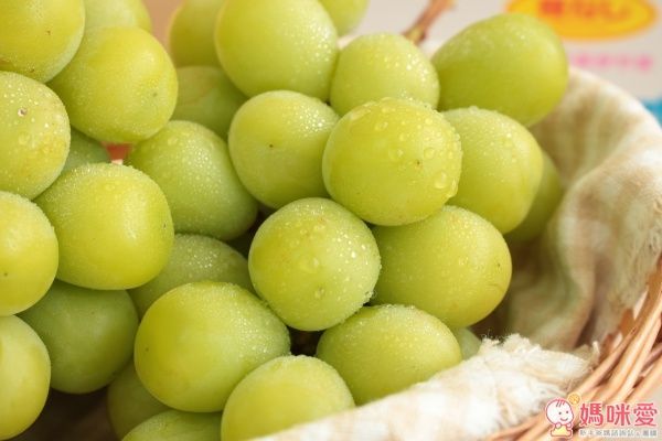 日本山梨縣晴王麝香葡萄