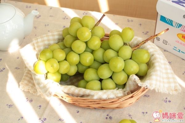 日本山梨縣晴王麝香葡萄