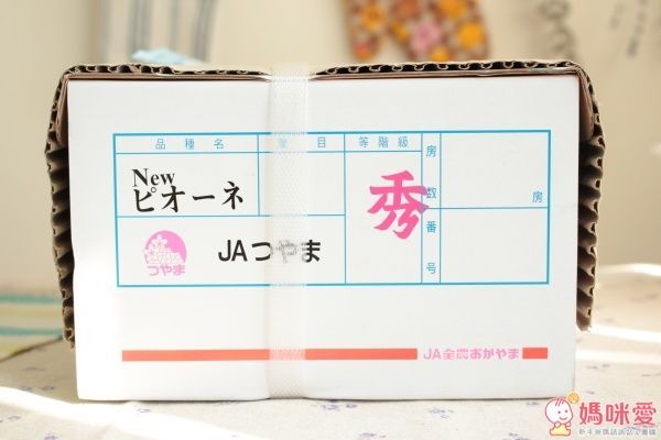 日本山梨縣晴王麝香葡萄