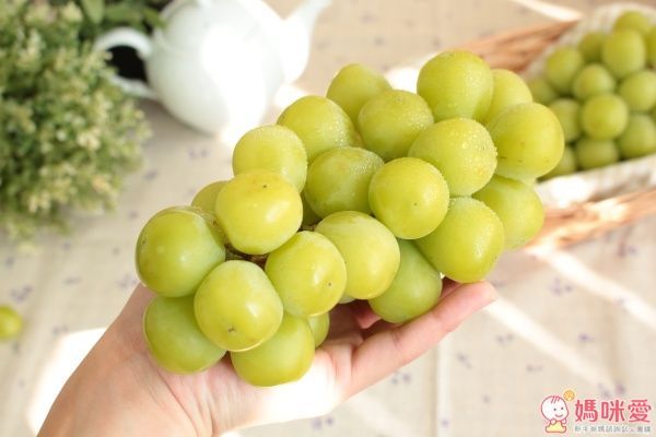 日本山梨縣晴王麝香葡萄