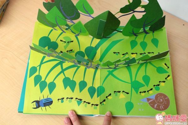 大日本繪畫 立體繪本