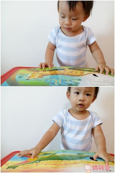 【上人文化】快樂學習洞洞書書