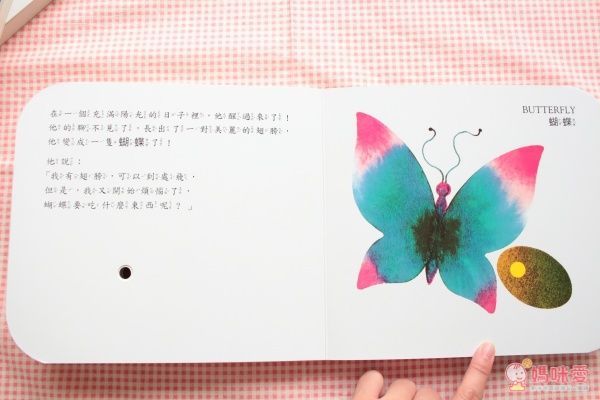 【上人文化】快樂學習洞洞書書