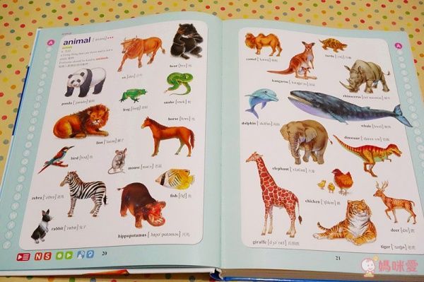 【格林文創】兒童美語圖解字典