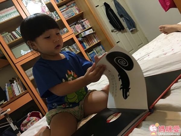 幼福文化 最棒的睡前翻翻書 變色龍探索世界的顏色