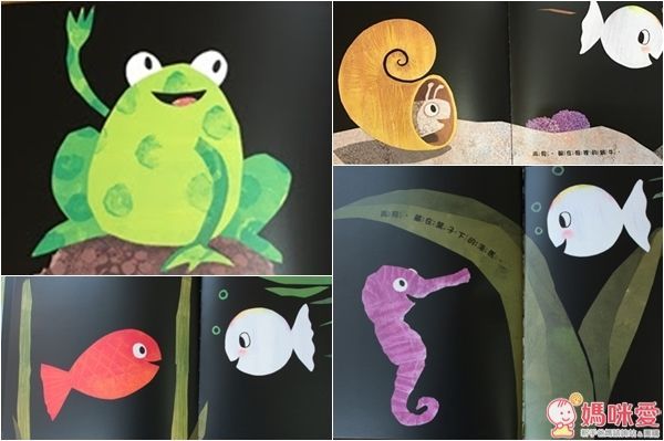 世界超級暢銷童書 小白魚